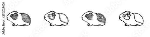 Konstfotografi Sketch short haired guinea pig icon design set