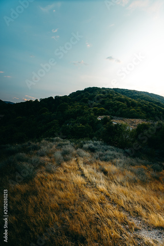 Dry grassy path leading toward green forested hills under wide blue sky with soft clouds, scenic countryside landscape with natural textures and copy space, ideal for travel, nature, and outdoor theme