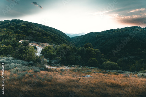 Scenic mountain landscape with winding dirt road through green hills and forest under dramatic sky at sunset, panoramic nature view ideal for travel, adventure, freedom, and outdoor exploration concep