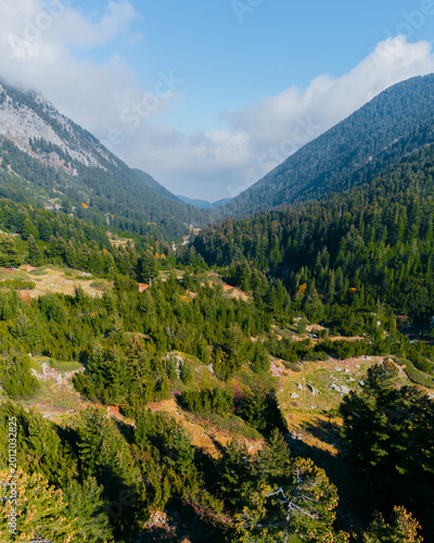 High-resolution aerial view of a scenic mountain valley covered in dense evergreen forest, surrounded by rocky slopes and hills. Natural landscape with vibrant greenery, soft clouds, and untouched wil