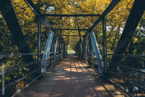 Steel pedestrian bridge in a forest with symmetrical structure and strong leading lines. Sunlight creates shadows across the walkway, forming a powerful perspective and travel concept image.