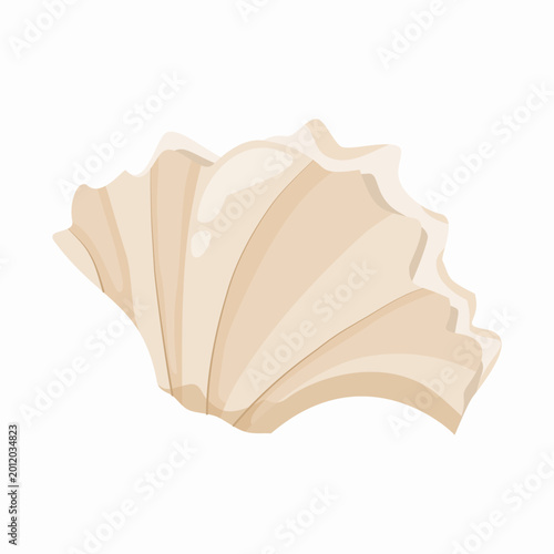 Photos Beige Scallop Fan Seashell Isolated Illustration on White Background
