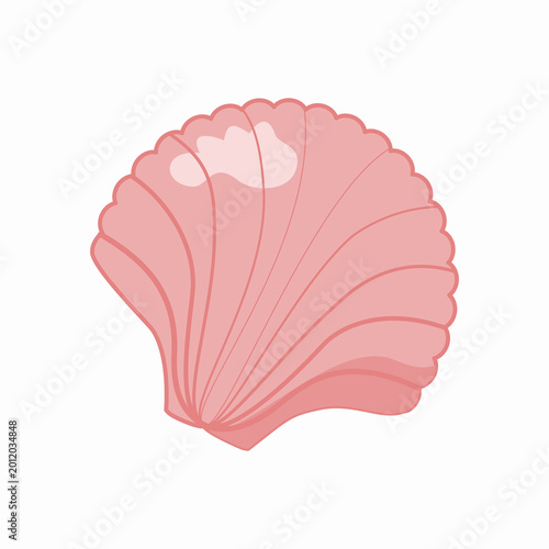 Photos Pink Scallop Fan Seashell Isolated Illustration on White Background