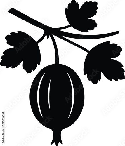 Silhouette design featuring a fresh gooseberry fruit with leaves vector