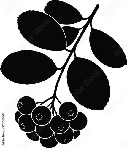 Silhouette design of a ripe rowan berry branch illustration vector