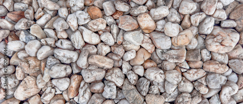 Εκτύπωση καμβά White natural pebbles texture with rounded sea stones and neutral colors, rocky surface background for construction, landscaping, garden decoration and exterior materials