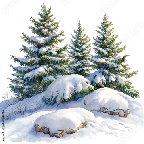 Photography Snow-covered Pine Trees, soft and charming watercolor, isolated on a white background, delicate and elegant style