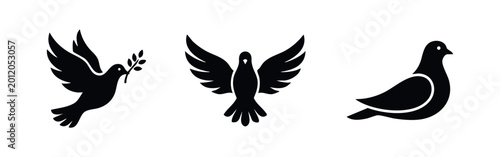 Fotografie Minimalist black vector icons of doves and pigeons
