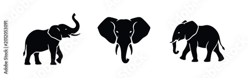 Tableau sur toile Collection of black elephant silhouettes and icons featuring side profiles and a frontal head view on a white background for nature and safari branding