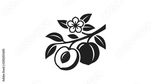 Black and white illustration of peaches on a branch