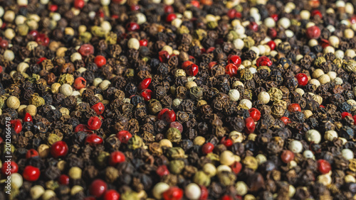 Obraz na plátně Aromas of a mix of four peppers, banner with selective focus on a mix of various