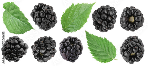 Quadro su tela Tasty fresh blackberries and green leaves isolated on white, collage