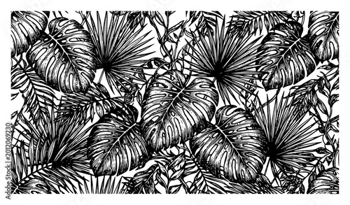Tropical leaves pattern with monstera and palm fronds black and white engraved style