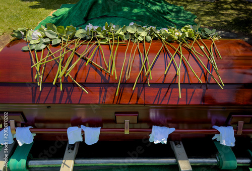 Photography Above view of a brown casket with covered with individual roses at a gravesite