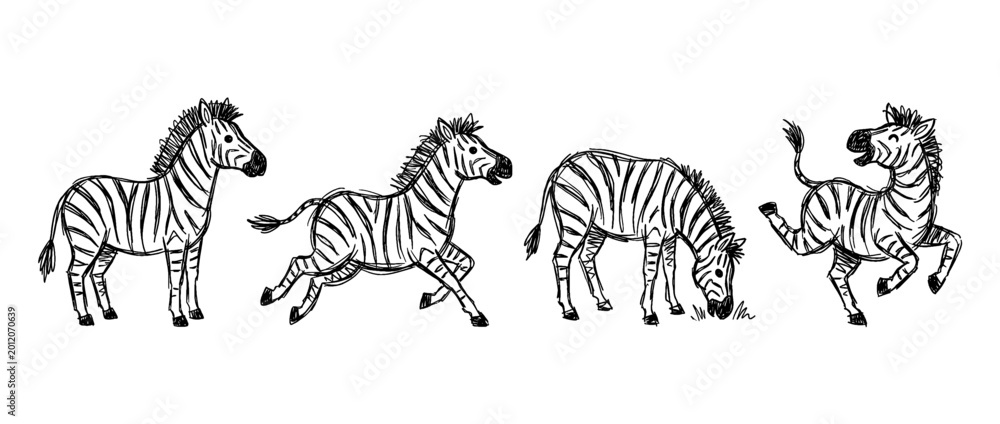 Naklejka premium zebra , pen scribble , kid Hand drawn , vector