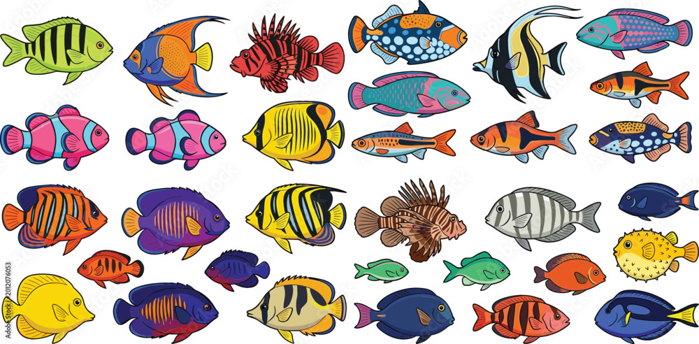 Fototapeta premium Exotic Tropical Fish Collection with Colorful Marine Aquarium Species Hand Drawn Sea Life Vector Illustration Set