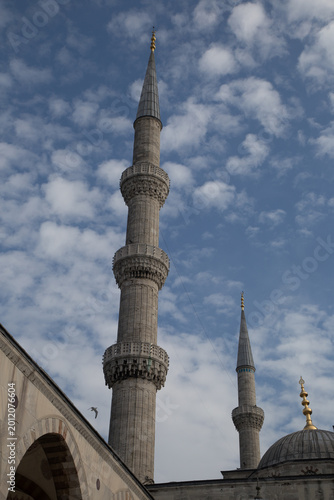 Canvas Print mosque in istanbul turkey