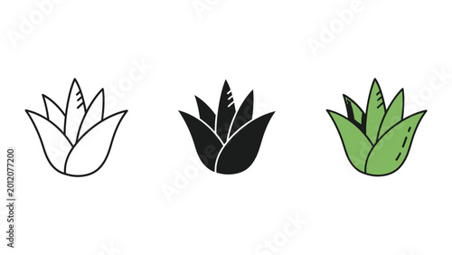 three stylized agave leaves flat design vector illustration