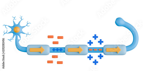 3D Action Potential in Neuron Illustration. Nerve Impulse Transmission through Myelin Sheath.