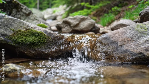 Serene Forest Stream Flowing Over Mossy Rocks in Sunlight 2.