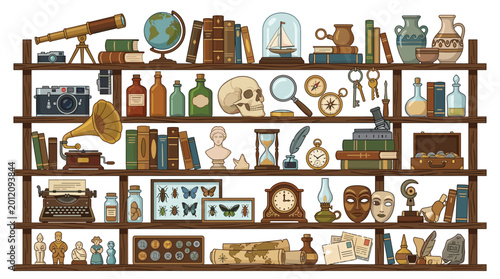 An assortment of vintage scientific instruments, old books, cameras, and historical artifacts meticulously organized on wooden shelving units against a plain white background.