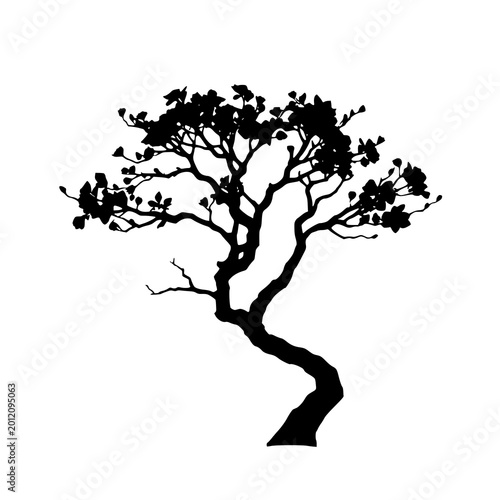 Solid black silhouette of cherry blossom tree, elegant profile on white background, vector illustration, nature symbol