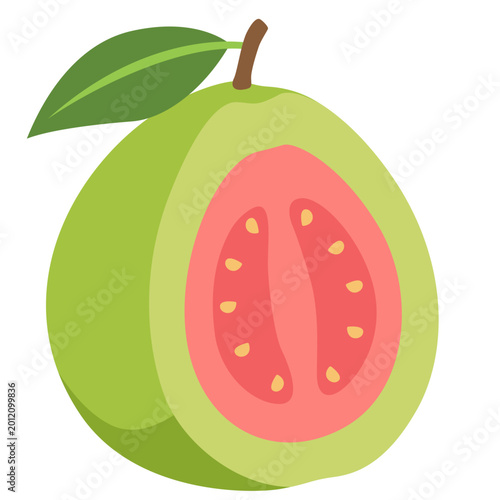 Green guava fruit half showing pink flesh, tropical healthy snack, vector illustration design.