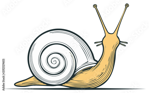 Stylized illustration of a snail in profile, showing a large spiral shell and antenna.