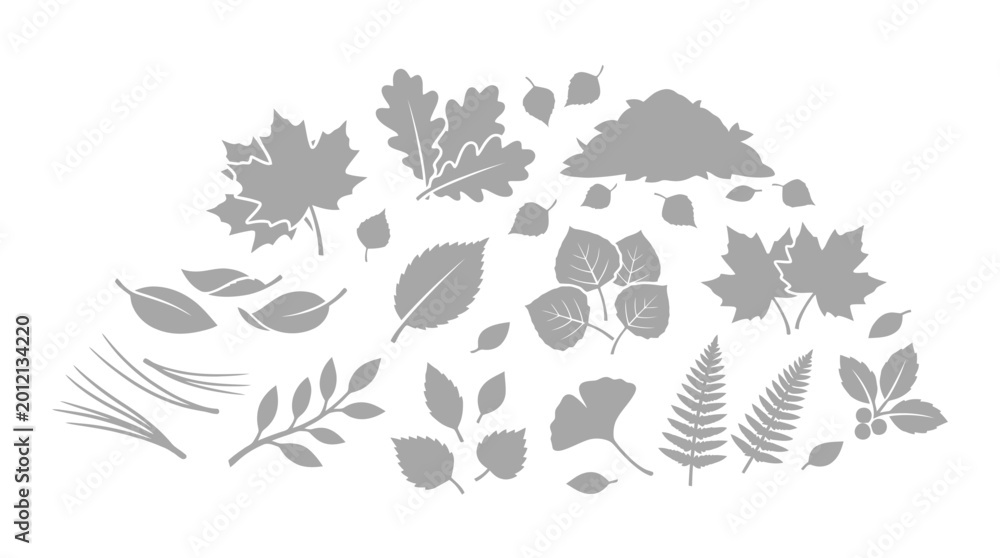Obraz premium Collection of various gray leaf silhouettes on a white background, representing different tree and plant types.