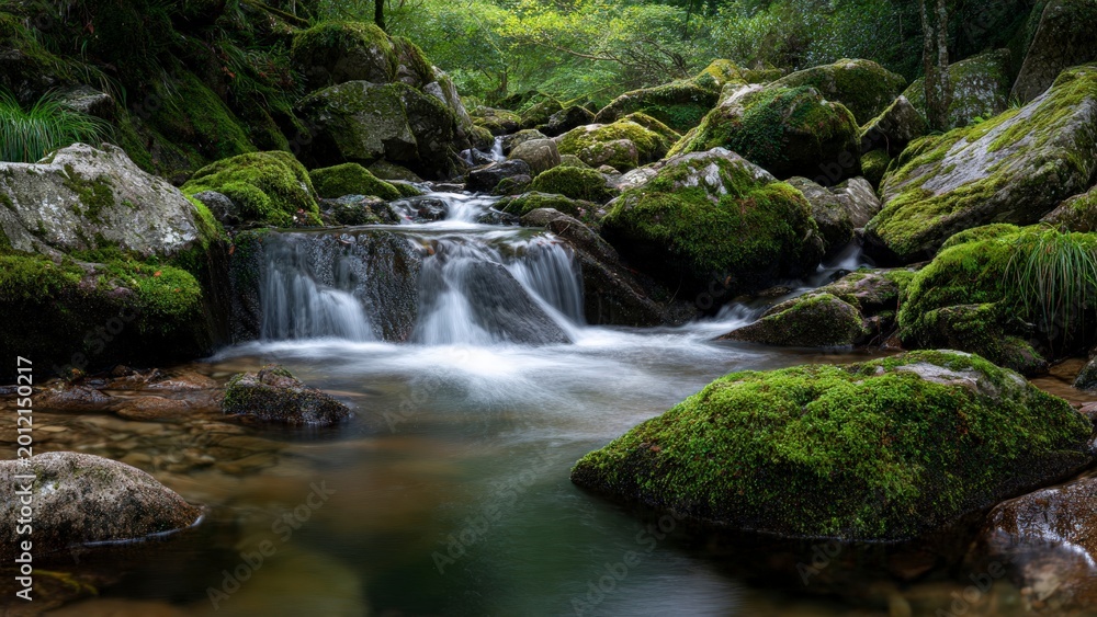 Fototapeta premium Small waterfall flowing over mossy rocks in a forest stream