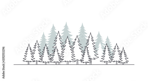 Obraz na plátně Evergreen trees in a forest landscape.