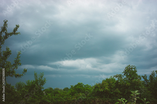Dark Storm Clouds Over Green Treetops