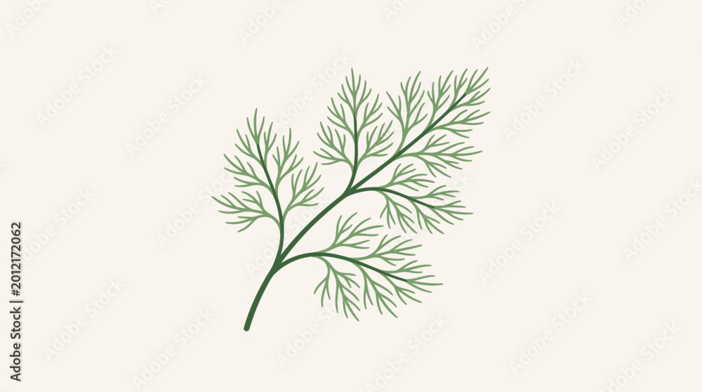 Φωτογραφία A sprig of fresh green dill herb with delicate foliage.