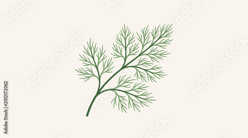 Foto A sprig of fresh green dill herb with delicate foliage.