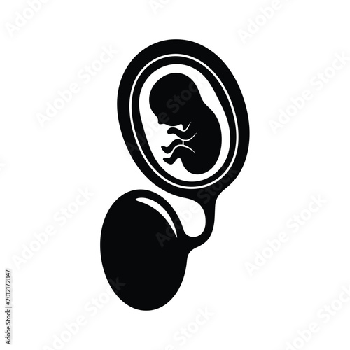 Foto Black silhouette of human fetus 2.