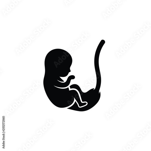 Quadro em tela Black silhouette of human fetus.