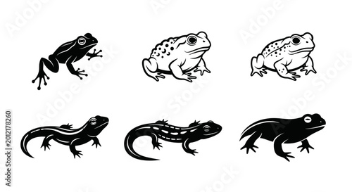 Cuadro en lienzo Amphibian animals vector set: frogs, toads, and salamanders on white