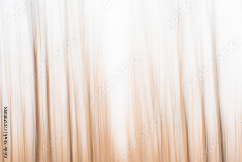 Abstract Motion Blur of Winter Poplar Forest