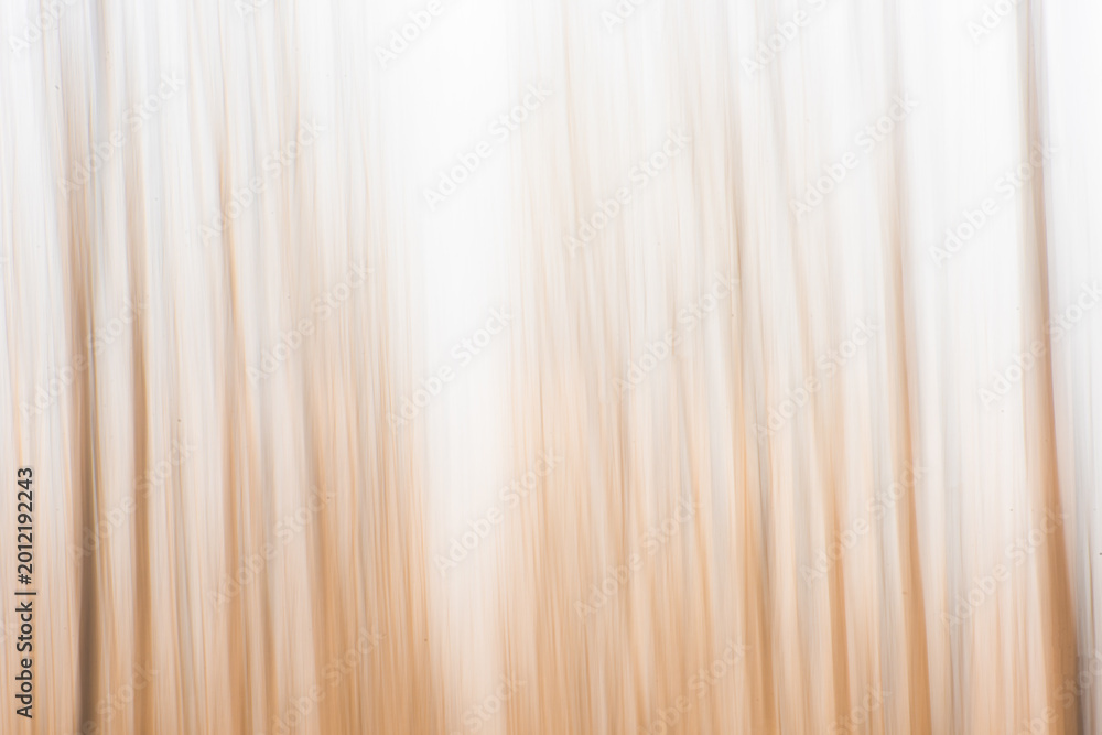 Fototapeta premium Abstract Motion Blur of Winter Poplar Forest