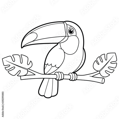Toucan Bird Coloring Page