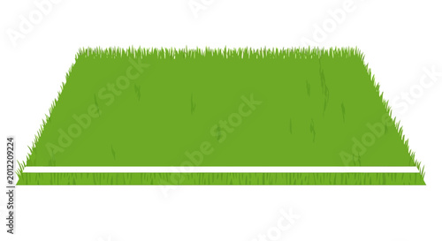 Green Grass Field with White Line.