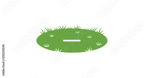 Green grassy island with white line in middle.