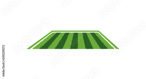 Green Striped Sports Field Perspective View.