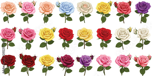 Fotografija Collection of colorful rose flowers vector illustration featuring blooming roses