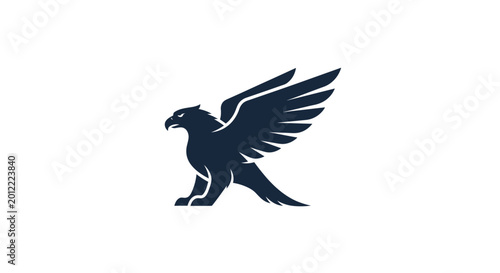 Foto Black eagle bird in flight.