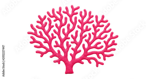 Fotografia Coral Reef Pink Marine Life.