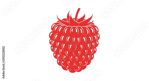 Fotografie Fresh Red Raspberry Fruit Closeup.