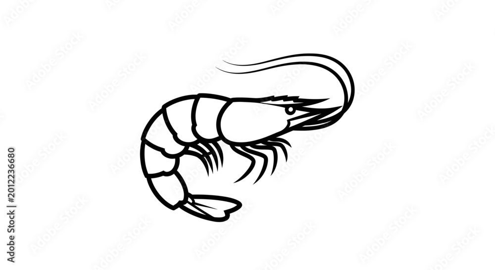 Fototapeta premium Simple Line Art Drawing of a Shrimp