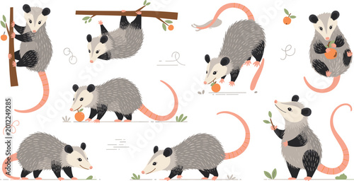 Bild auf Leinwand Cute Opossum Character Set with Various Poses Including Hanging from Branch, Eat