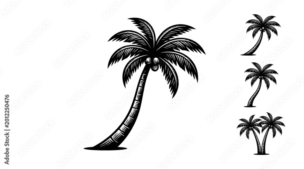 Fototapeta premium Black and white palm tree illustrations.